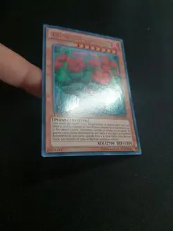 Eremitalbero Silvano LVAL-IT020 • Ultra Rara • 1a Ed • YuGiOh! Sylvan Hermitree - Image 5