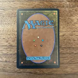 Serra Paladin Homelands NM+ NEVER PLAYED MTG Magic 1995 VINTAGE FREE SHIPPING - Image 2