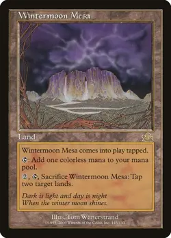 2x Wintermoon Mesa Prophecy MP MTG - Image 1
