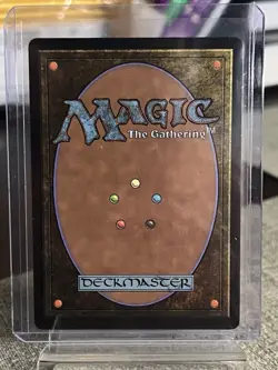 FOIL MTG Wan Shi Tong, Librarian TLA Avatar: The Last Airbender Borderless ENG - Image 2