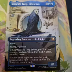 Wan Shi Tong, Librarian - Borderless FOIL MTG Avatar: TLA Near Mint - M - 0320 - Image 2