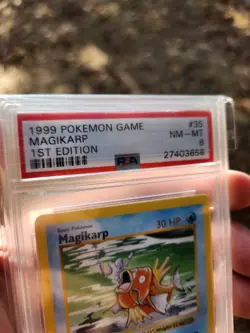 Pokemon 1999 1st Edition Shadowless Base Magikarp uncommon card, PSA 8 - Image 2