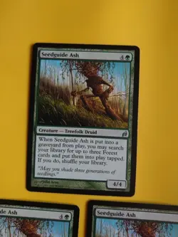 Seedguide Ash x3 Treefolk Druid MTG 3 Card. Lorwyn. - Image 2