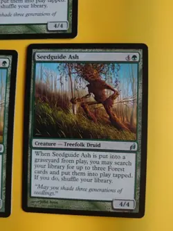 Seedguide Ash x3 Treefolk Druid MTG 3 Card. Lorwyn. - Image 3