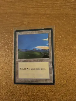 MAGIC THE GATHERING ICE AGE PLAINS (B) MODERATELY PLAYED - Image 1