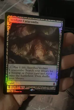Verdant Catacombs Foil Zendikar Expeditions, NM, MTG 023/045 - Image 3