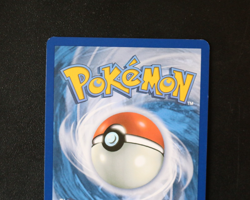 Pokemon Card TCG - Horsea 067/064 - Shrouded Fable - Illustration Rare - NM/LP ⭐ - Image 5