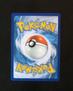 Pokemon Card - Golisopod EX 246/182 Paradox Rift Special Illustration Rare - NM? - Image 4