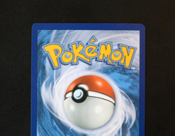 Pokemon Card - Golisopod EX 246/182 Paradox Rift Special Illustration Rare - NM? - Image 5