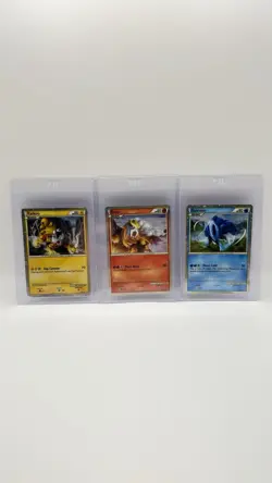 Pokemon TCG 2010 HGSS Raikou,Entei,Suicune Holo Rare Black Star Promo Lot LP-NM - Image 1