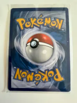 Dachsbun ex 067/142 Double Rare Holo Near Mint Condition Stellar Crown - Image 2