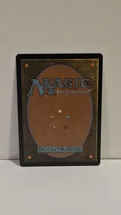 MTG: Duskmourn: House of Horror - Full Set Basic Land - Regular - NM Condition - Image 5