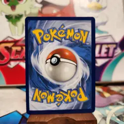 Wallace 208/195 Rainbow - Silver Tempest - Pokemon TCG - SHIPS FAST - Image 2