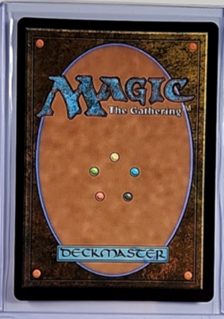 Magic The Gathering Secret Lair Poster Borderless Foil Yisan the Wanderer Bard - Image 2