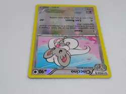 Pokemon Cinccino Reverse Holo 88/124 XY Fates Collide 2016 - Image 5