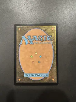 Wizard Class NM MTG Bloomburrow BLB BLC Magic - Image 2