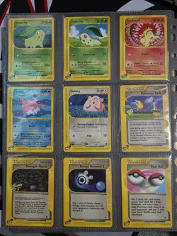 Part complete Expedition Base Set Aquapolis | /165 | 48 Pokemon cards - Image 3