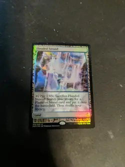 Flooded Strand (BFZ Expedition Foil) - Image 1