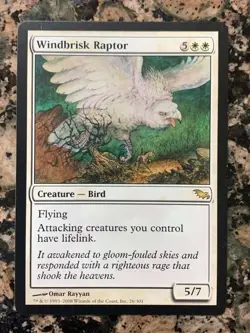 MTG Windbrisk Raptor x1 Shadowmoor NM, Magic the Gathering - Image 1