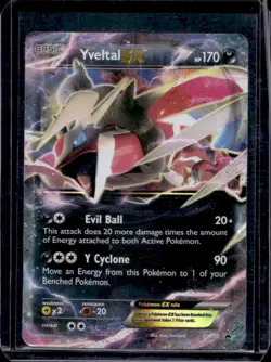 2013-17 Pokemon XY Promos Yveltal #XY150 - Image 1