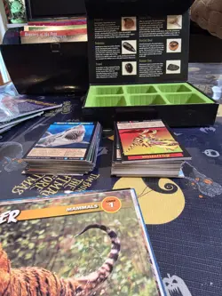 Weird N' Wild Creatures Knowledge Flash Cards 225, 133 Trading Cards Plus Fossil - Image 4