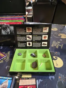 Weird N' Wild Creatures Knowledge Flash Cards 225, 133 Trading Cards Plus Fossil - Image 5