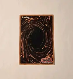 Goe Goe the Gallant Ninja FOTB-EN024 1st Edition Ultimate Rare LP - Image 2