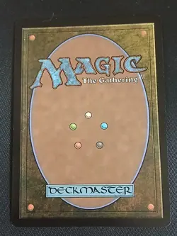 MTG Plains (0888) - Rainbow Foil, NM-Mint, English Secret Lair Drop Series - Image 2