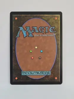 Forest Rainbow Foil Secret Lair Drop 0892 Magic The Gathering Near Mint - Image 2