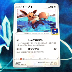 Eevee - 075/S-P - Promo Rare Gym Japanese - Pokemon Card - NM - Image 1