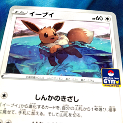 Eevee - 075/S-P - Promo Rare Gym Japanese - Pokemon Card - NM - Image 2