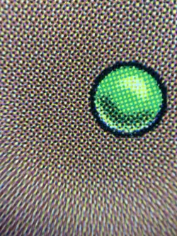 MTG FBB Underground Sea - Italian Dual Land Signed - Image 3