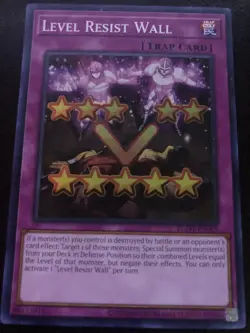 Yu-Gi-Oh! Level Resist Wall (EGO1-EN005) 1st Edition Super Rare (NEAR MINT) - Image 1