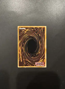 Safe Zone SDPL-EN036 Common 1st Edition - Near Mint YuGiOh - Image 2