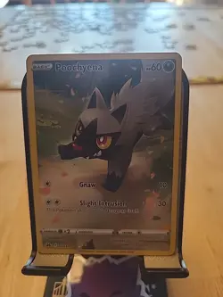 Pokemon TCG Crown Zenith Poochyena Full Art Ultra Rare Holo Card GG33/GG70 NM/M - Image 1