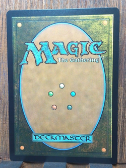 Dawn of a New Age Poster NM/M LOTR Lord of Rings MTG Magic the Gathering - Image 2