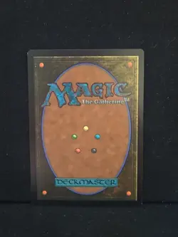 Plains 0888 Rainbow Foil Secret Lair Drop Magic The Gathering Near Mint - Image 2