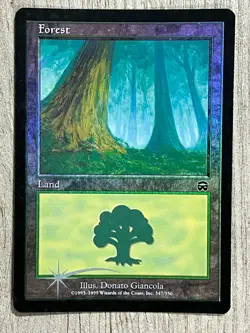 MTG Mercadian Masque Foil Basic Lands **Choose Your Lands** $1.99-$5.99 - Image 5