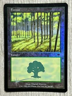 MTG Onslaught Foil Basic Lands **Choose Your Lands** $1.99-$4.99 - Image 4
