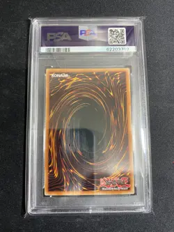 2020 Blue Eyes White Dragon Mago-En001 1st Edition Gold Rare Yugioh Card PSA 8 - Image 2
