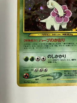 Pokemon TCG Meganium Gold, Silver, to a New World... Holo (Japanese) (Neo) DMG - Image 4
