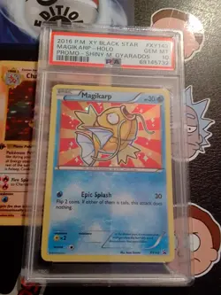 2016 POKEMON XY BLACK STAR PROMO SHINY M. GYARADOS #XY143 MAGIKARP-HOLO PSA 10 - Image 1