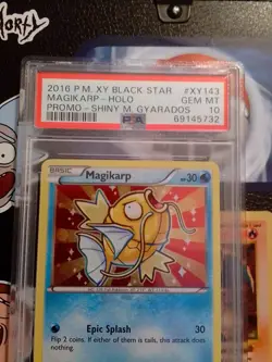 2016 POKEMON XY BLACK STAR PROMO SHINY M. GYARADOS #XY143 MAGIKARP-HOLO PSA 10 - Image 3
