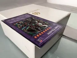 Yugioh Dark Paladin DMG-001 Secret Rare Limited Edition LP - Image 3