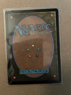 x1 The Lion-Turtle - Borderless R MTG Avatar: The Last Airbender M/NM, English - Image 2