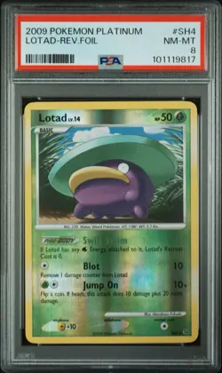 Pokemon TCG Lotad Shiny Reverse Holo SH4 2009 Platinum PSA 8 - Image 1