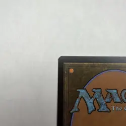 Passionate Archaeologist (Rainbow Foil) Secret Lair Drop Foil NM - Image 4