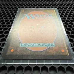 MTG Time Spiral (Urza's Saga) LP - Image 3