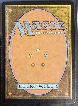 MTG Devoted Druid Shadowmoor 110/301 Regular Common - Image 2