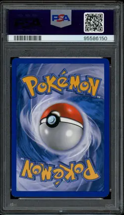 Pokemon PSA 8 Glaceon 23/116 Plasma Freeze Reverse City Championships Promo Card - Image 2